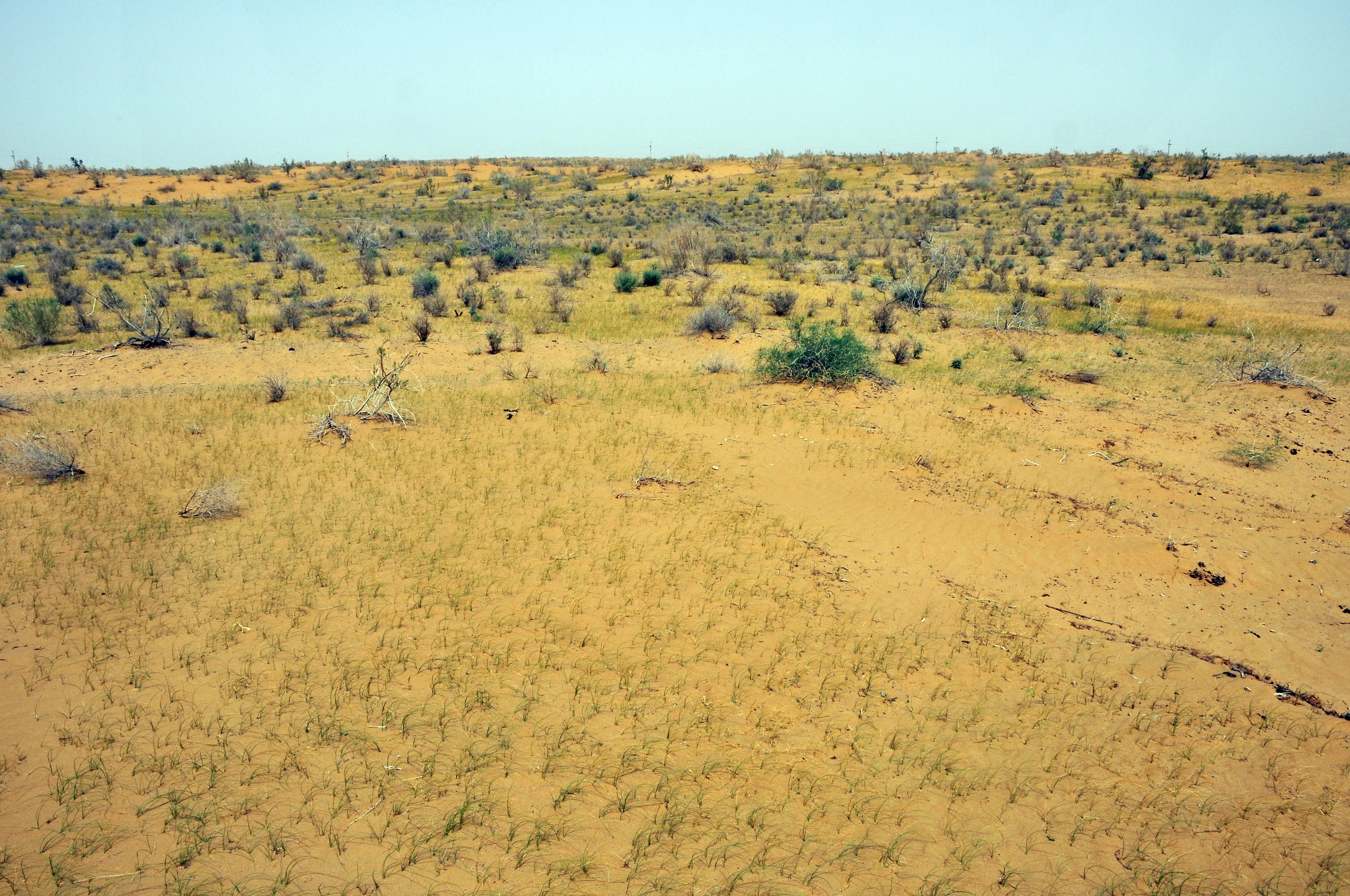 Désert d'Ouzbékistan sur la Route de la Soie